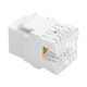 RJ 45 CAT6 ŞASE 180 DERECE (KEYSTONE JACK) (81)