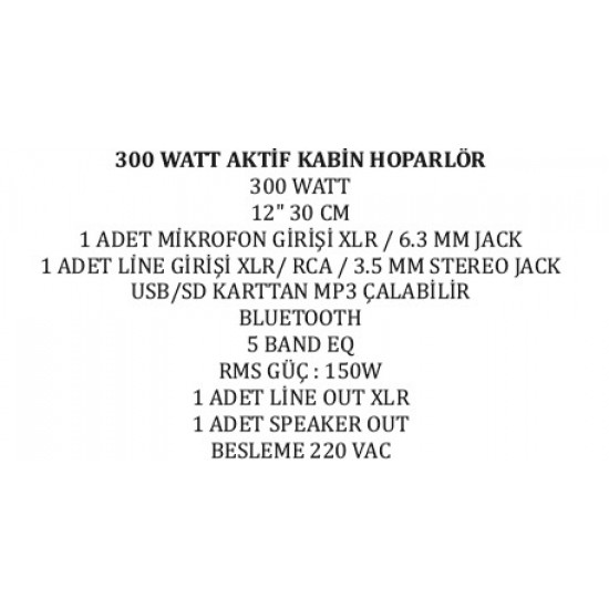 30 CM 300 WATT 12 AKTİF KABİN HOPARLÖR (81)