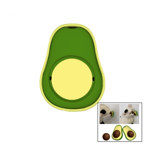 AVOCADO KEDİ NANESİ AVOKADO YAPIŞKANLI PLASTİK KUTULU PET SHOP (81)