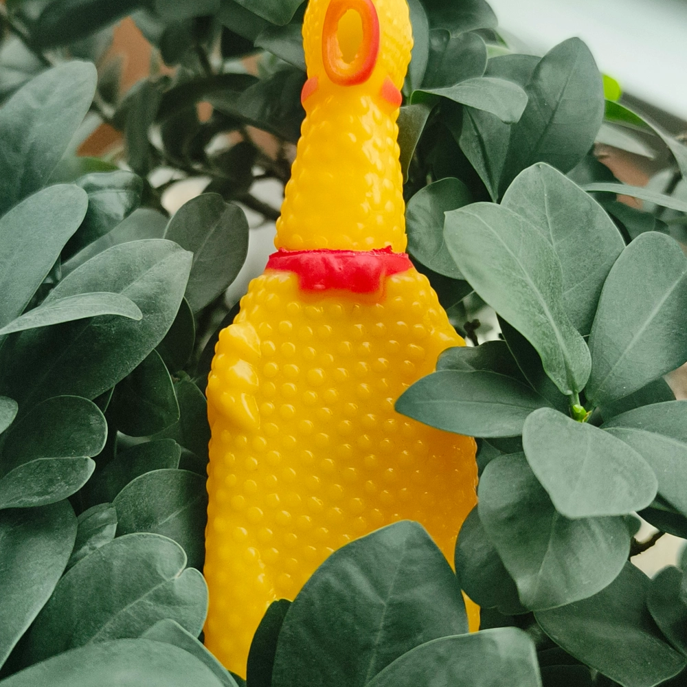 Büyük Pet Park Köpek Tuvalet Eğitim Seti – Evcil Dostunuz İçin Hijyenik Çözüm 1 Adet Çığlık Atan Ördek 1 Adet Yıkanabilir Rulo Hediye