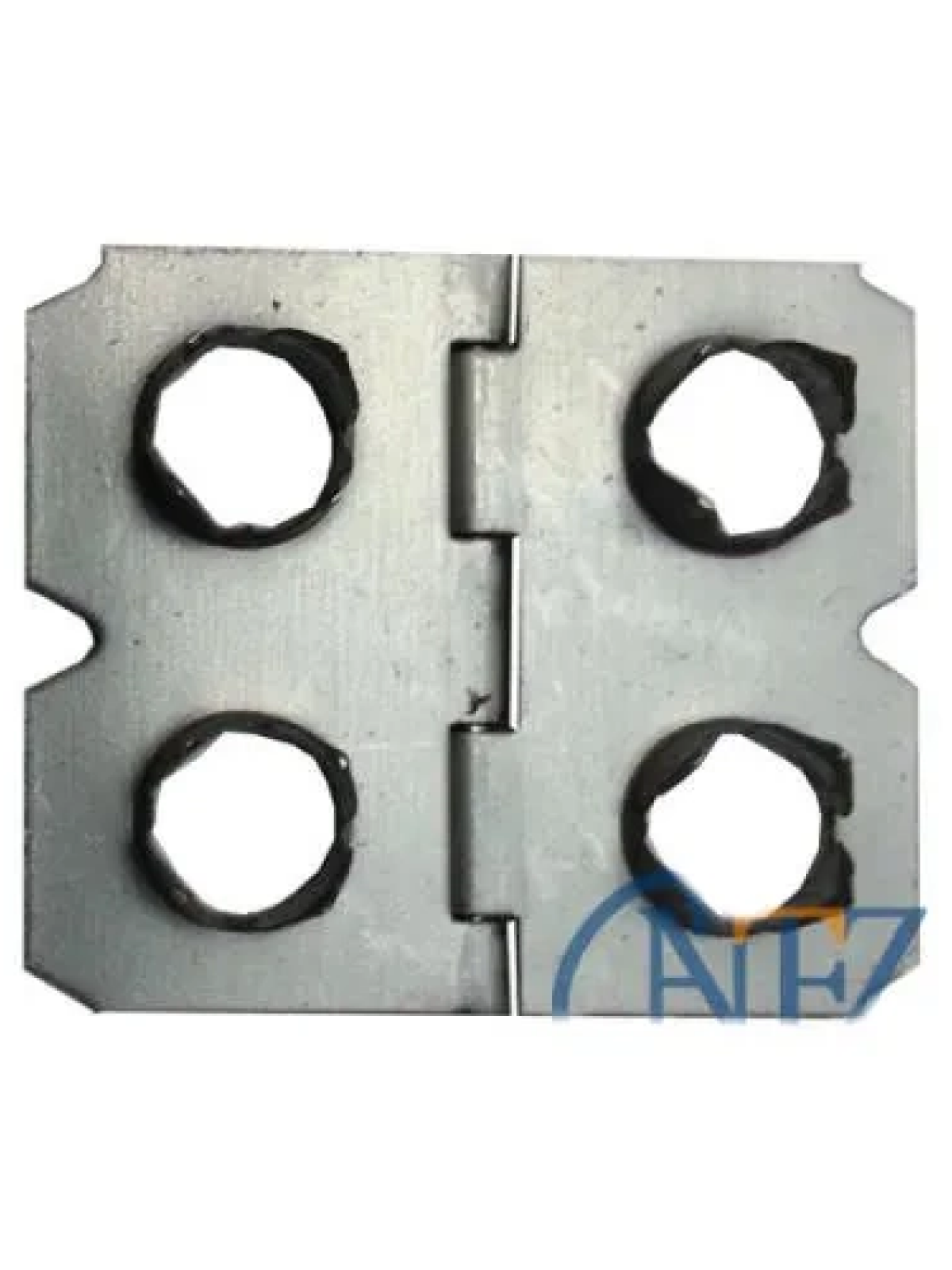 Çakmalı Menteşe - 500 Adet