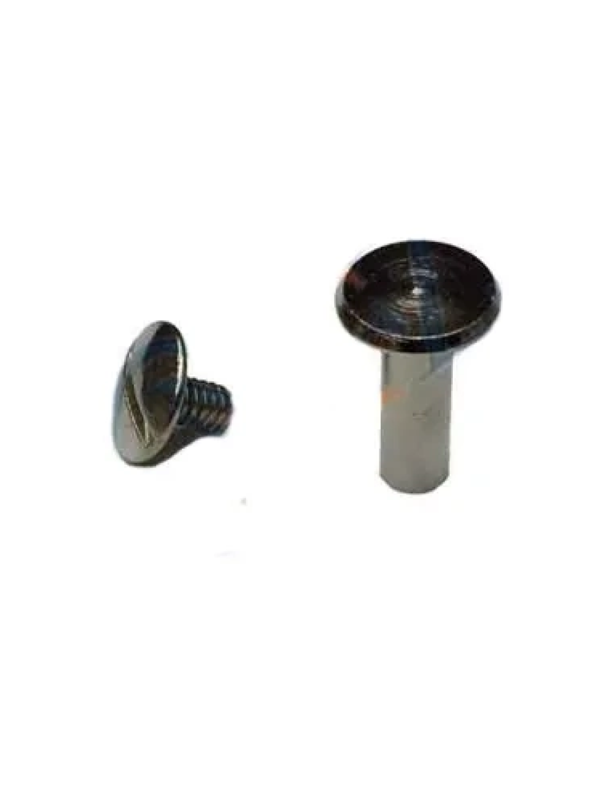 Cilt Menü, Katalog, Kartela Vidası, 13mm - Nikel, 100 Adet