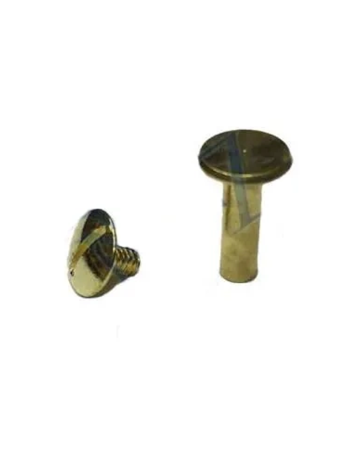 Cilt Menü, Katalog, Kartela Vidası, 13mm - Sarı, 1 Adet