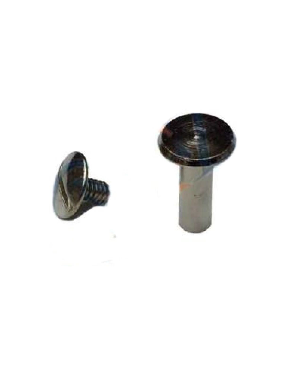 Cilt Menü, Katalog, Kartela Vidası, 9 Mm - Nikel, 1 Adet