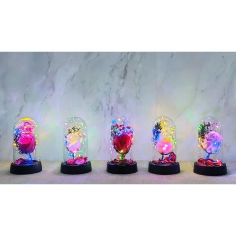 Işıklı Müzikli Romantik Büyük Gül  Alk4998