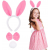 Pembe Tavşan Kostüm Seti – Taç, Papyon, Ponpon (12’li Paket)