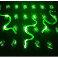 Şaka Yılan Ve Kırkayak Karışık 36 Adet