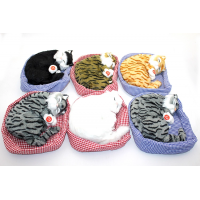 Yastıkda Uyuyan Horlayan Kedi Sesli Alk3416