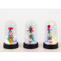 Yılbaşı Temalı Işıklı  Dekoratif Cam Fanus Alk5076