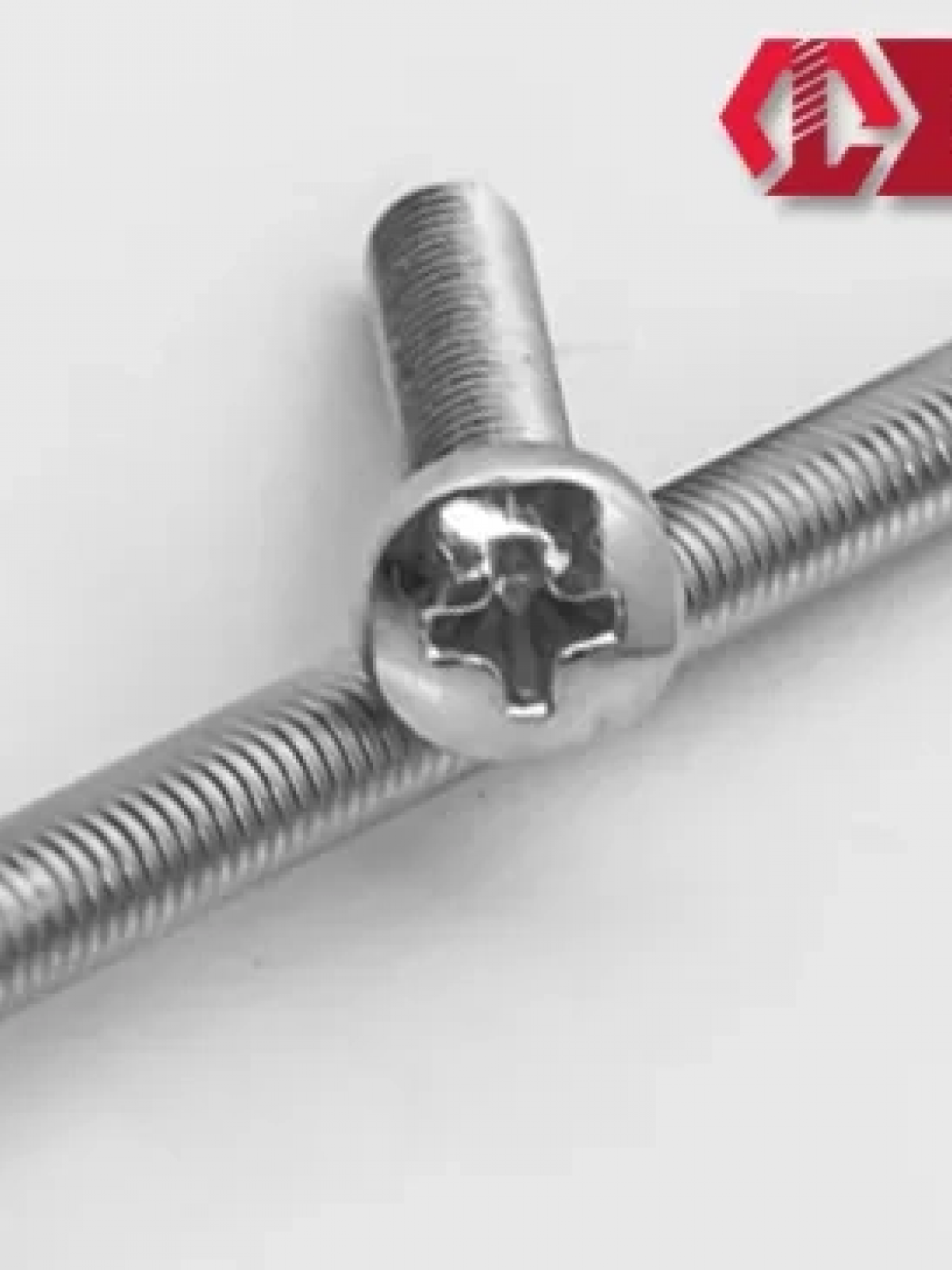 Yuvarlak Yıldız Başlı Ysb Civata M6x30 - 100 Adet