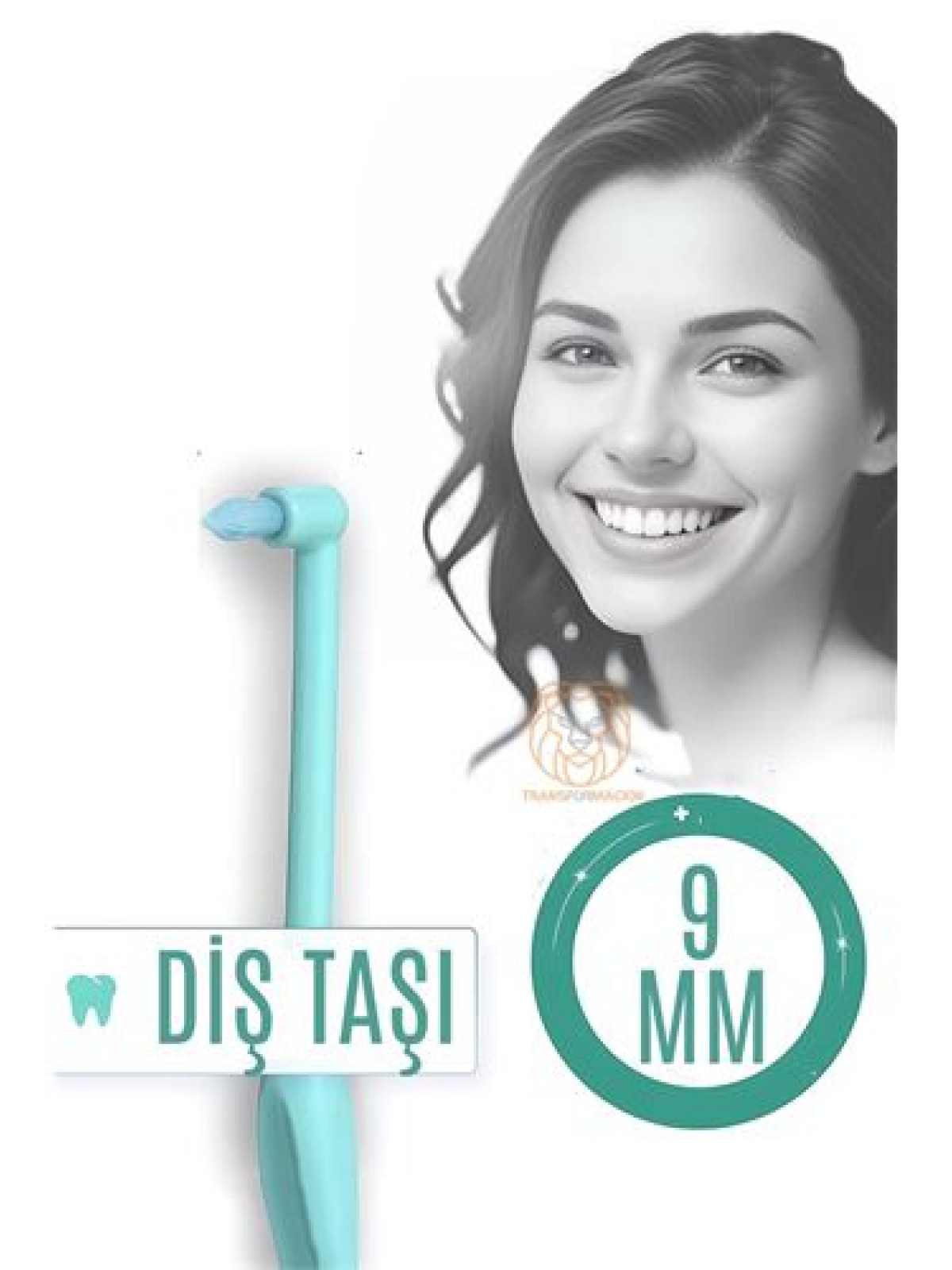 Diş Taşı Temizleyici