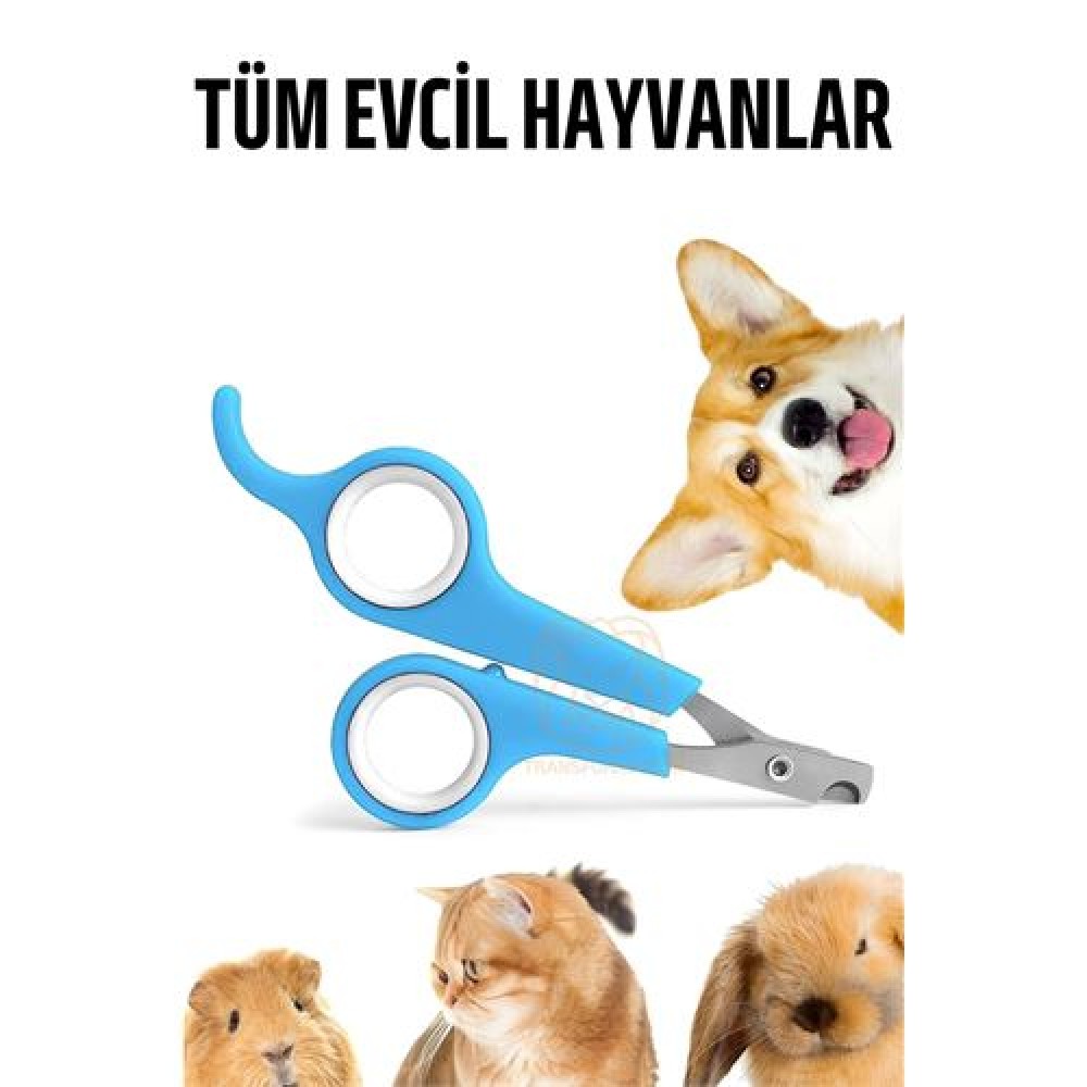 Kedi Tırnak Makası Evcil Hayvan Köpek Tavşan Tırnak Makası Kedi Tırnak Makası Evcil Hayvan Köpek Tavşan Tırnak Makası