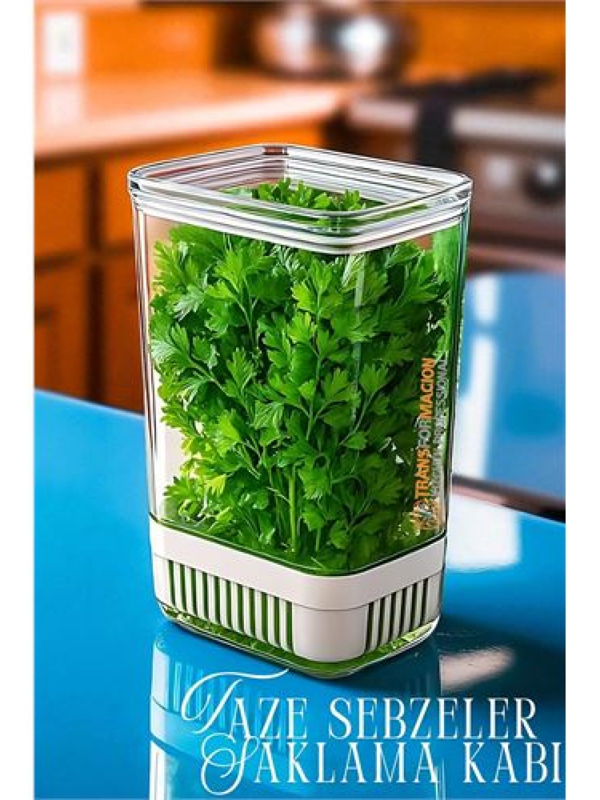 Yeşillik Saklama Kabı - Taze Yeşillik İçin - Soğan Maydanoz vb Yeşillik Saklama